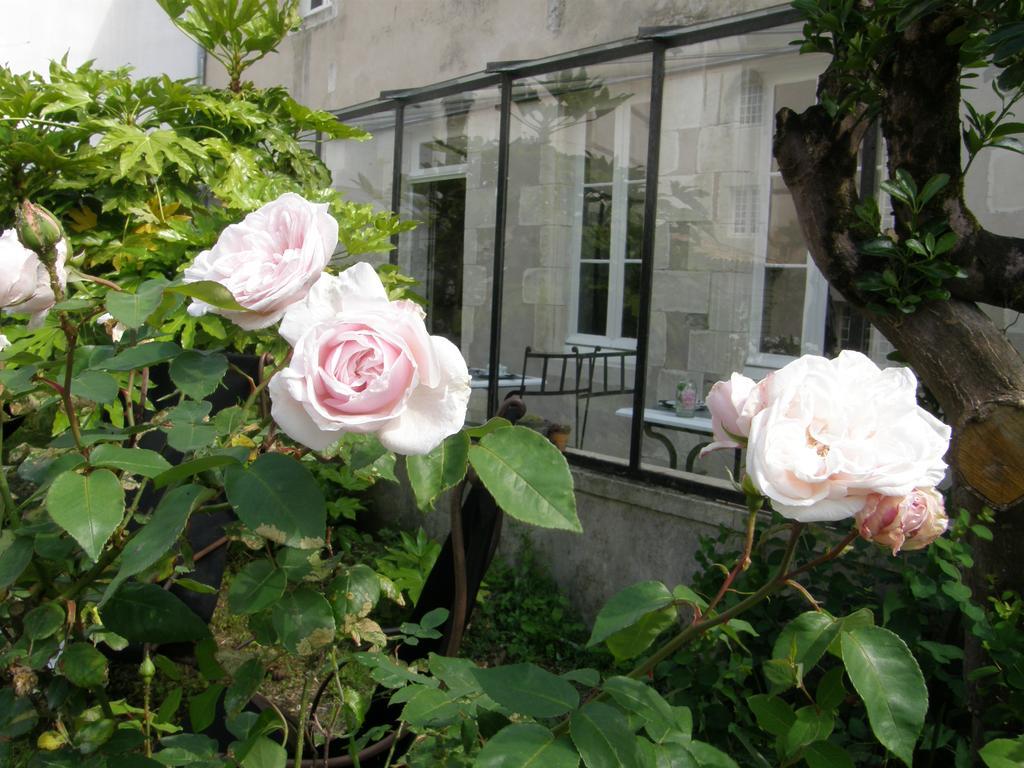 La Maison Douce Saint-Martin-de-Ré Exterior foto